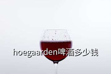 hoegaarden啤酒多少錢