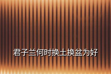 君子蘭何時(shí)換土換盆為好