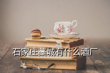 石家莊藁城有什么酒廠