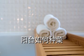 陽臺如何種菜