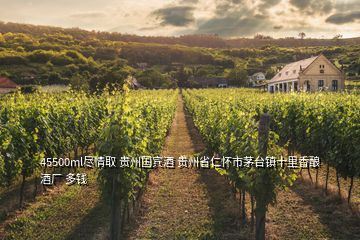 45500ml盡情取 貴州國賓酒 貴州省仁懷市茅臺鎮(zhèn)十里香釀酒廠 多錢