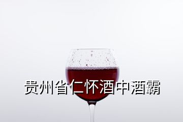 貴州省仁懷酒中酒霸