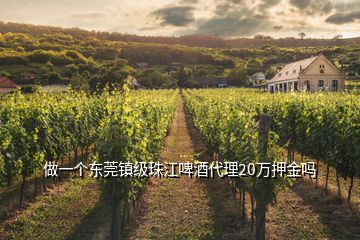 做一個東莞鎮(zhèn)級珠江啤酒代理20萬押金嗎