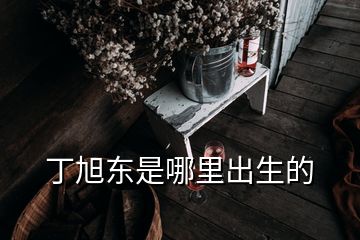 丁旭東是哪里出生的