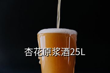 杏花原漿酒25L