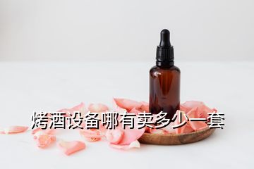 烤酒設(shè)備哪有賣多少一套