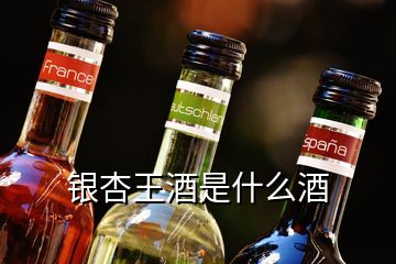 銀杏王酒是什么酒