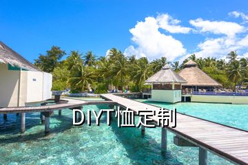 DIYT恤定制