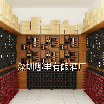 深圳哪里有釀酒廠