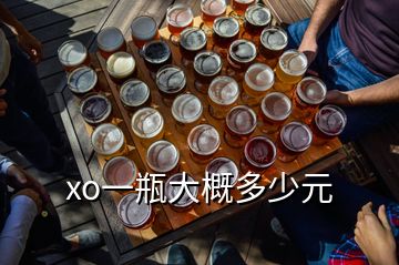 xo一瓶大概多少元