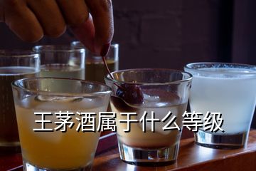 王茅酒屬于什么等級(jí)