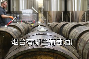 煙臺(tái)有哪些葡萄酒廠