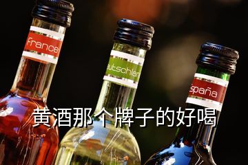 黃酒那個(gè)牌子的好喝