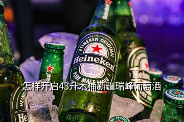 怎樣開啟43升木桶新疆瑞峰葡萄酒