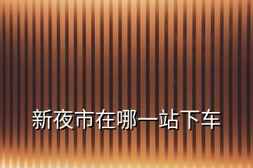 新夜市在哪一站下車