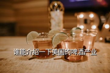 誰能介紹一下美國的啤酒產(chǎn)業(yè)