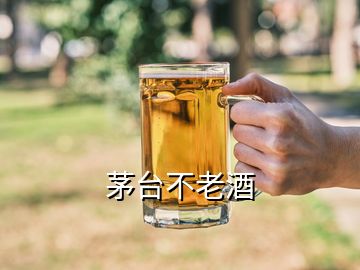 茅臺(tái)不老酒