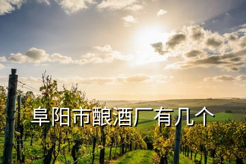 阜陽市釀酒廠有幾個