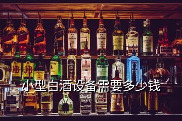 小型白酒設備需要多少錢