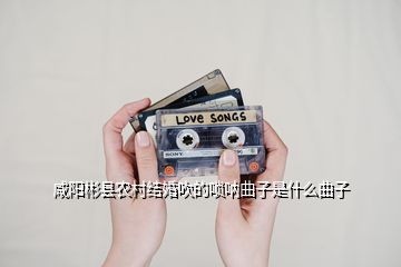 咸陽彬縣農(nóng)村結(jié)婚吹的嗩吶曲子是什么曲子