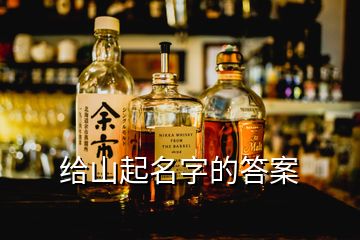 給山起名字的答案