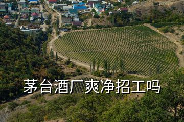 茅臺(tái)酒廠爽凈招工嗎