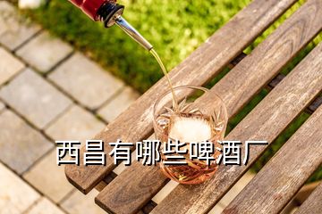 西昌有哪些啤酒廠