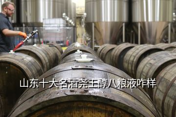 山東十大名酒堯王醇八糧液咋樣