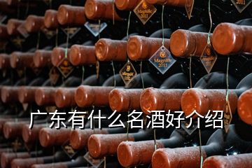 廣東有什么名酒好介紹