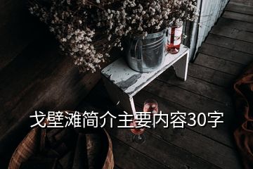 戈壁灘簡(jiǎn)介主要內(nèi)容30字