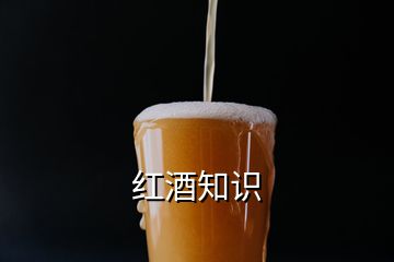 紅酒知識(shí)