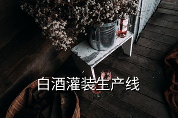 白酒灌裝生產(chǎn)線