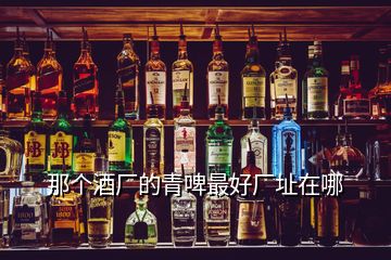 那個(gè)酒廠的青啤最好廠址在哪