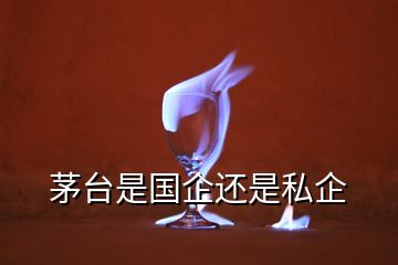 茅臺是國企還是私企