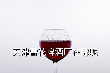 天津雪花啤酒廠在哪呢