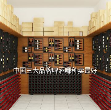 中國三大品牌啤酒哪種賣最好