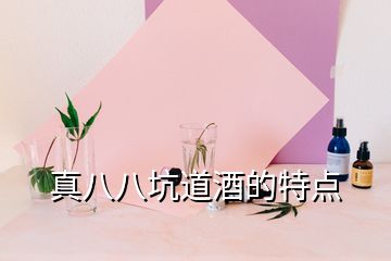 真八八坑道酒的特點(diǎn)