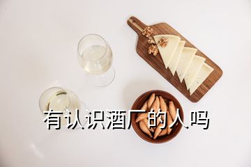 有認(rèn)識(shí)酒廠的人嗎