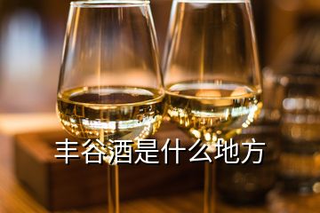 豐谷酒是什么地方