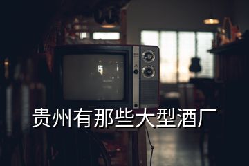 貴州有那些大型酒廠