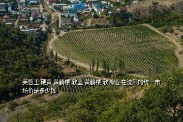 芙蓉王 硬黃 黃鶴樓 軟藍(lán) 黃鶴樓 軟鴻運(yùn) 在沈陽的統(tǒng)一市場價是多少錢