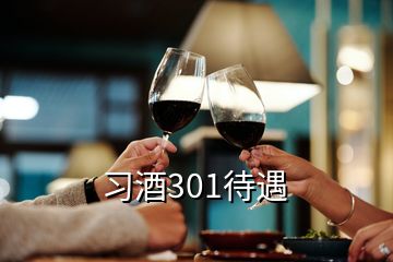 習(xí)酒301待遇