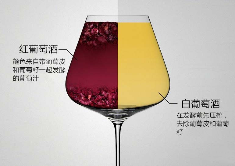 剛開始喝紅酒選哪種？初次喝紅酒先喝白葡萄酒