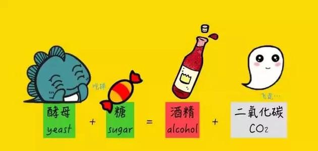 紅酒多少度？是什么影響紅酒的度數(shù)？