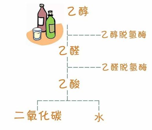 
為什么喝葡萄酒會(huì)過敏呢,為什么喝有些葡萄酒會(huì)過敏