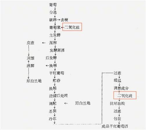 紅酒中為什么會含有亞硫酸鹽,葡萄酒中文標(biāo)怎么有亞硫酸鹽