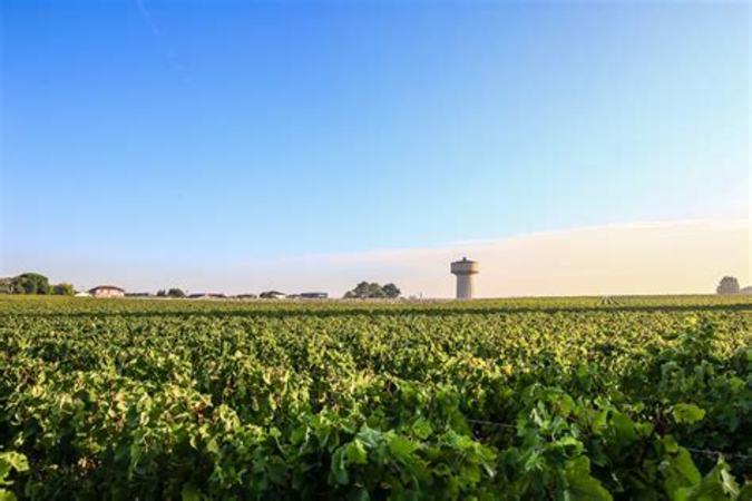 葡萄酒的10個重要波爾多地名,奧比昂產自哪個村莊