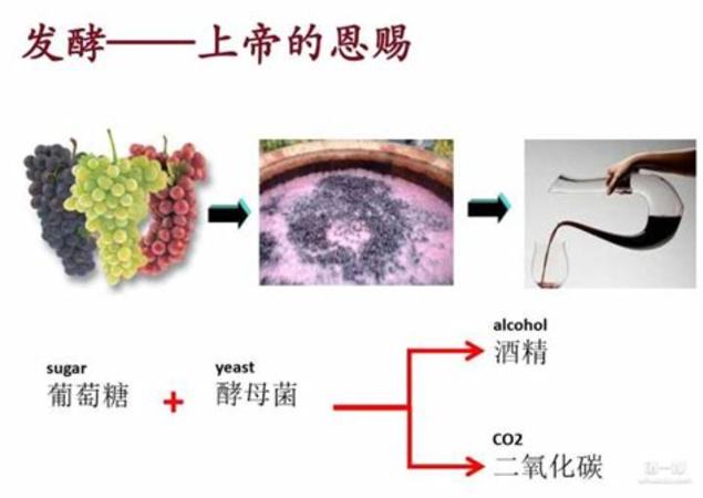 揭秘葡萄酒瓶的變臉術(shù),葡萄酒瓶為什么不一樣