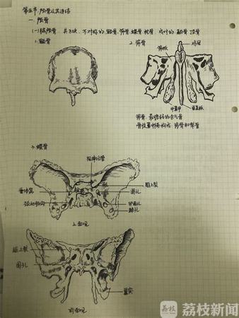 生物動(dòng)力葡萄酒,什么是生物動(dòng)力