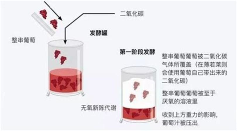 最全面的西班牙葡萄酒產區(qū)介紹,圣萊昂紅葡萄酒什么品種葡萄